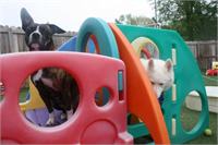 daycare pic 105 - judd and oniko